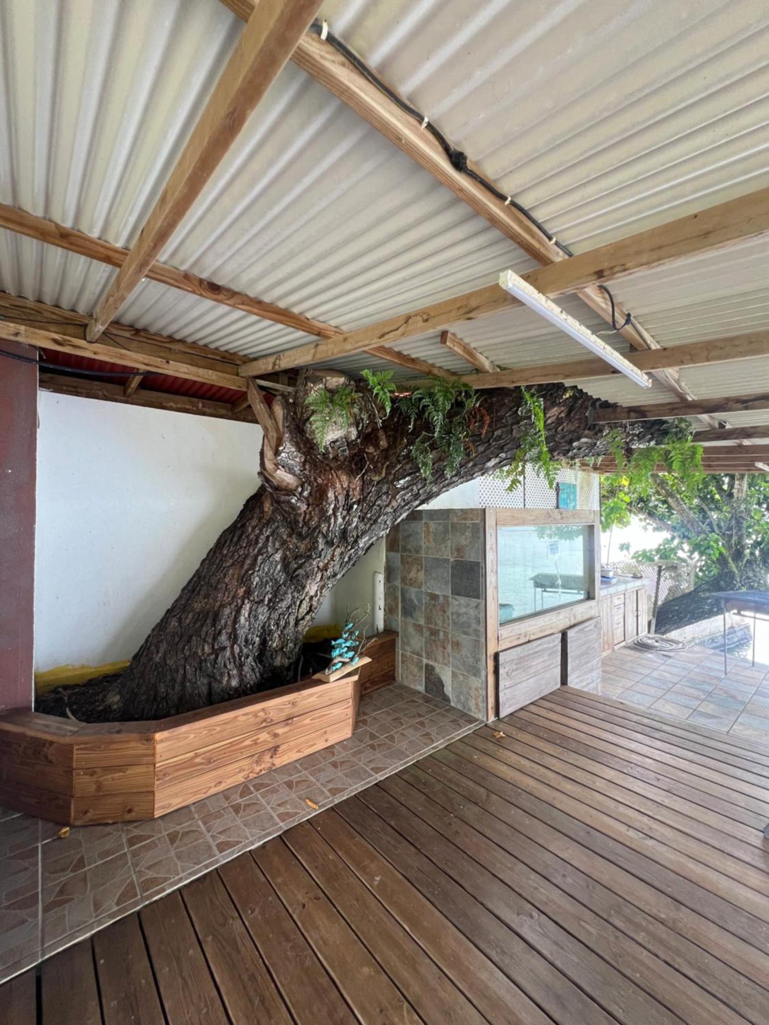 Fare Tetahora Villa Tevaitoa Екстериор снимка